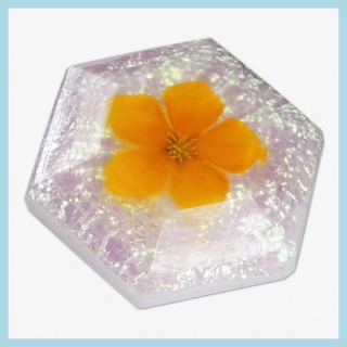 Plastová forma Diamant